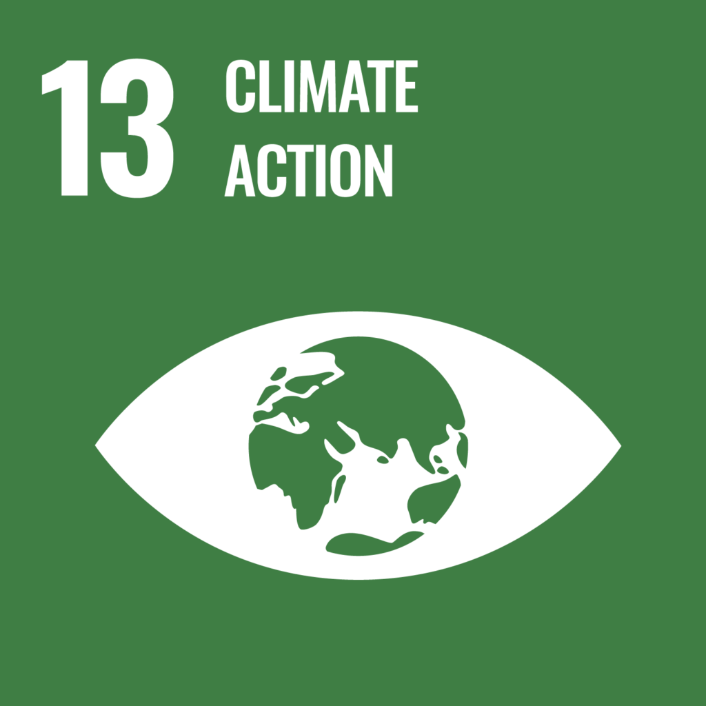 Sustainable development goals 13 - SDG 13