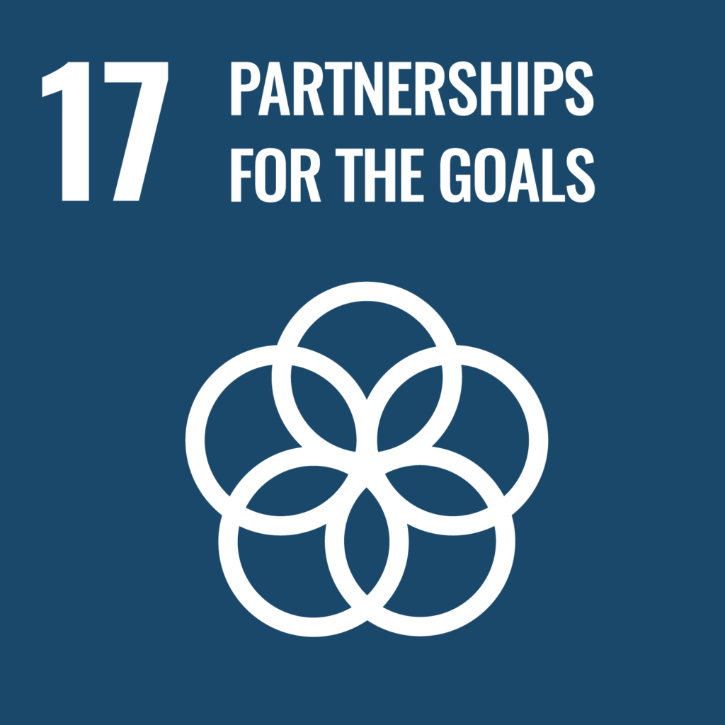 Sustainable development goals 17 - SDG 17