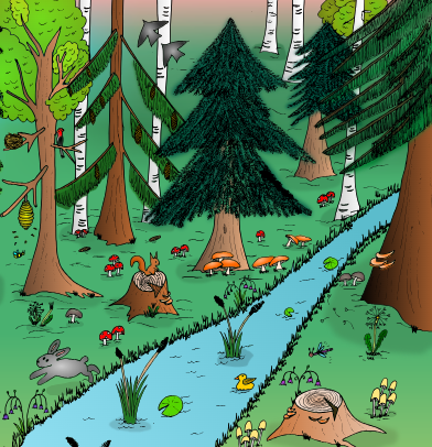 Ivón Hassel. Nature. The magic within a tree. Forestry. Sustainability