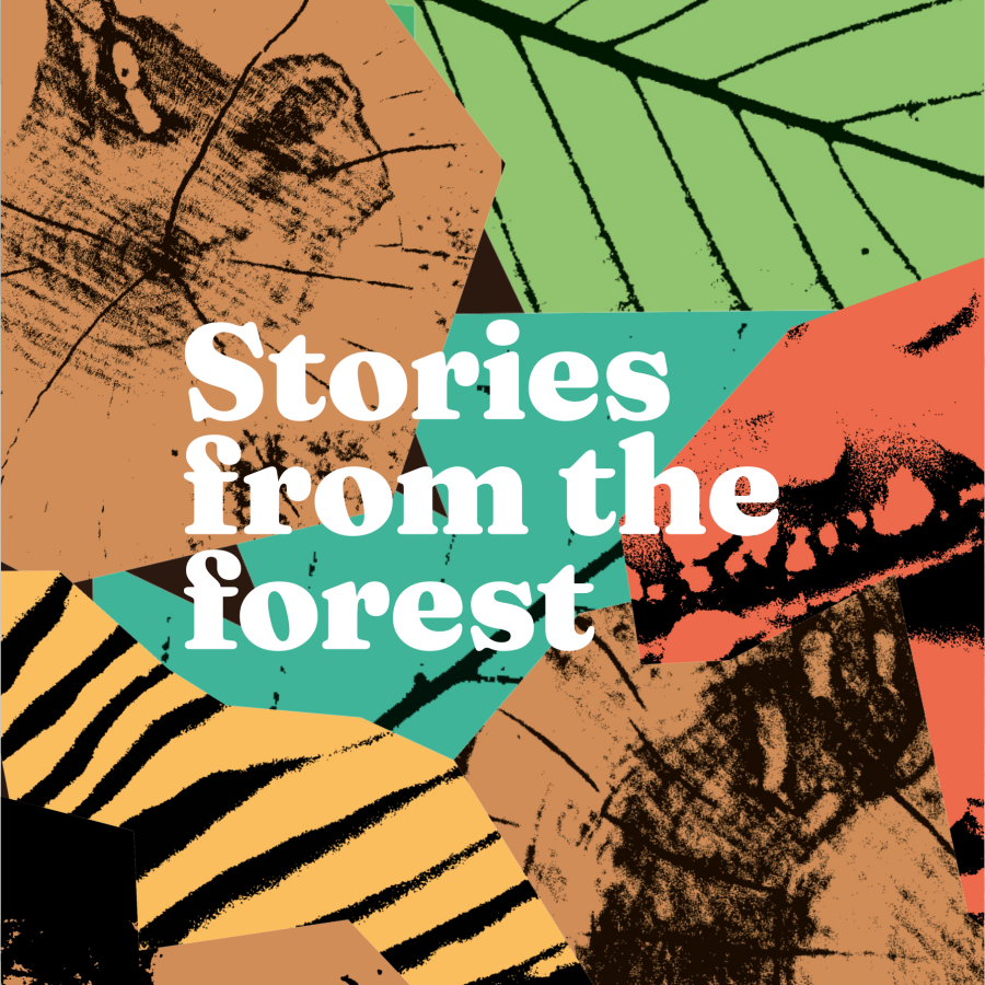 storybranch-mini-manual-Yg2q3Wpn1wuLGBaa